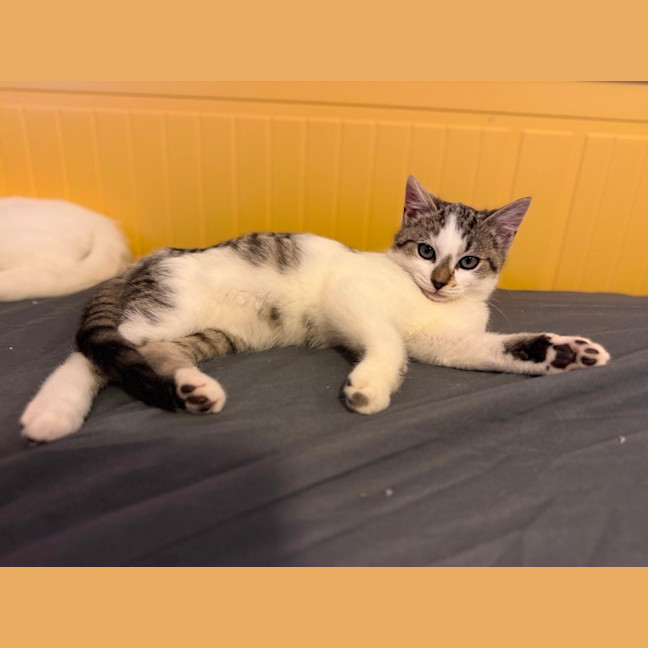 Photo of Emergency Exit