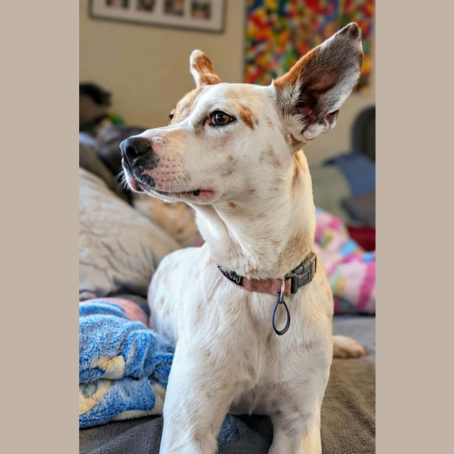 Photo of Tinks