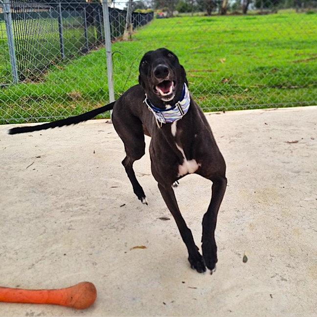 Photo of Shadow Moon