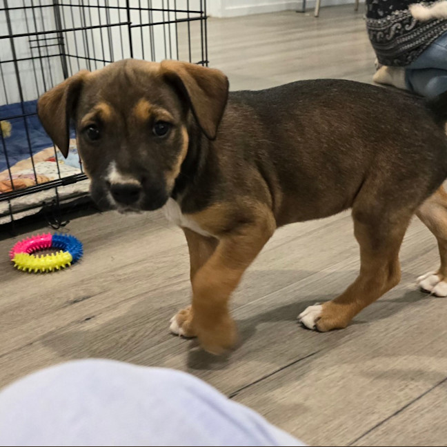 Photo of Marceline The Vampire Queen