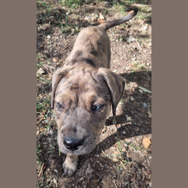 Photo of Freyja