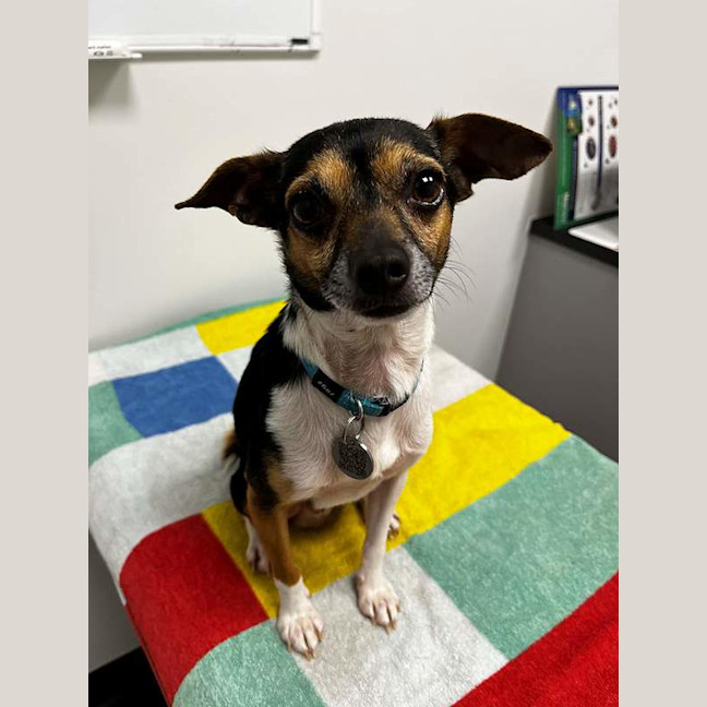 Photo of Sprout