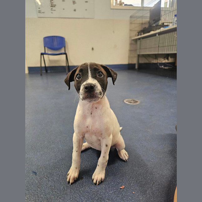 Photo of Dorothy Anne