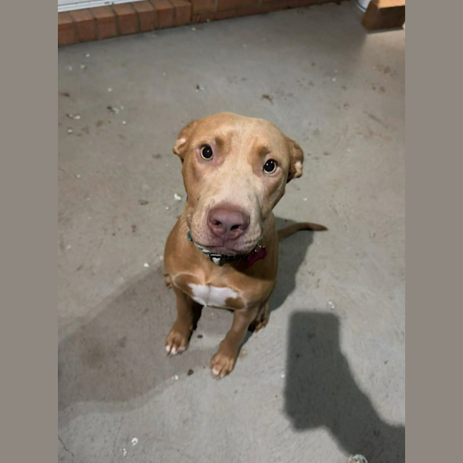 Photo of Buster