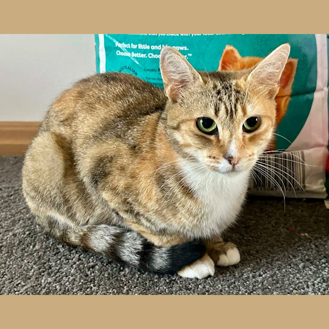 Photo of Tia Torrens