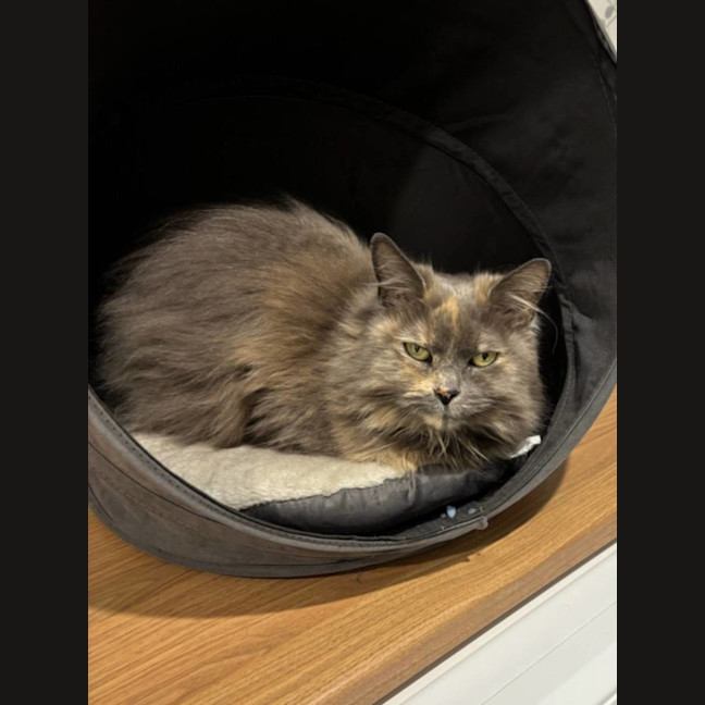 Photo of Matilda 