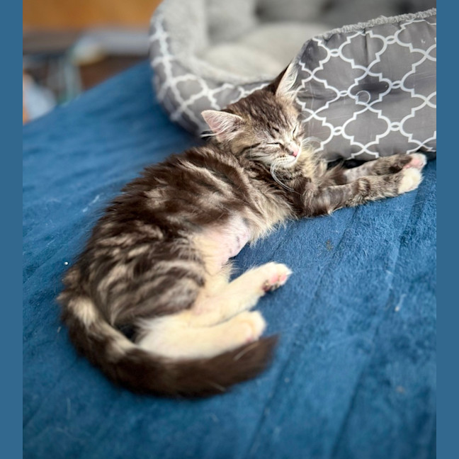 Photo of Sophie
