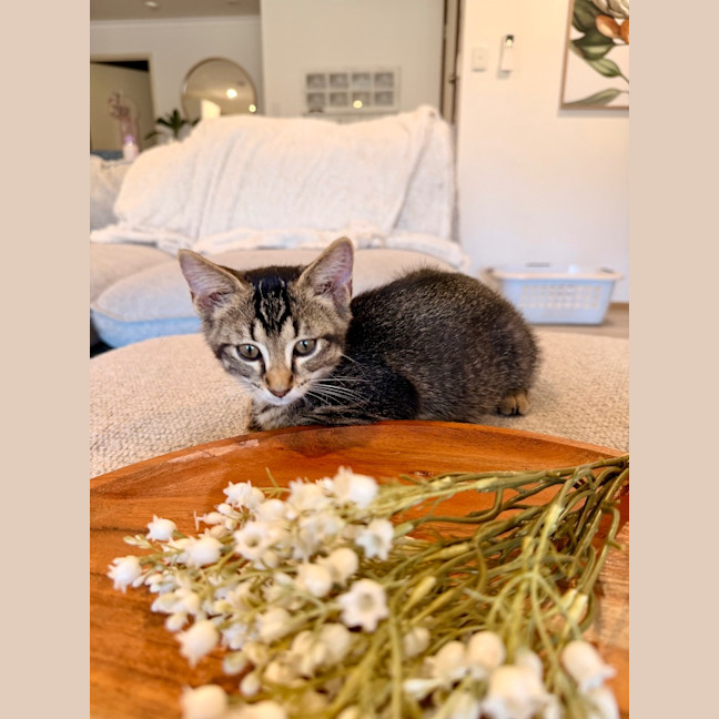 Photo of Sid