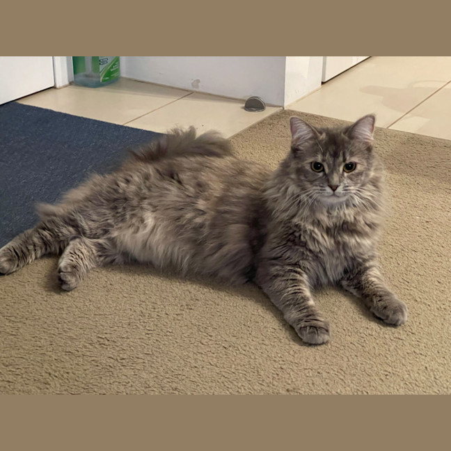 Photo of Elsie