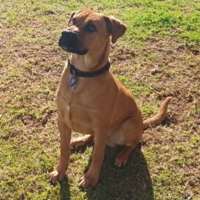 Photo of Alf
