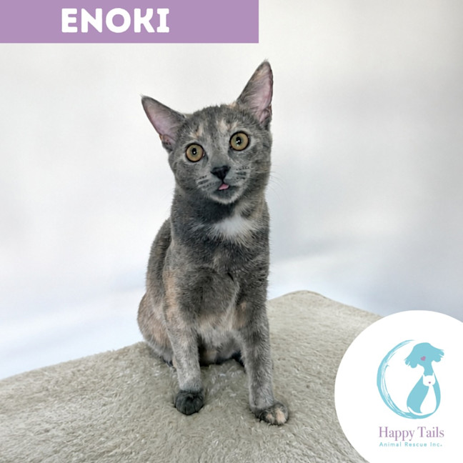Photo of Enoki