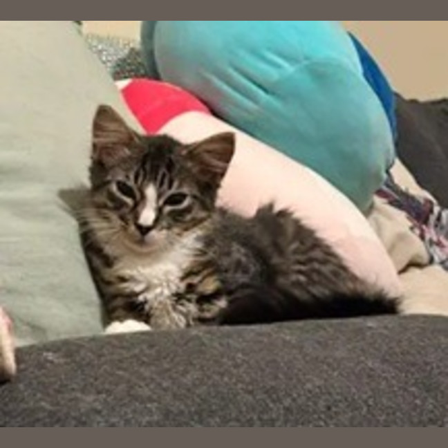 Photo of Calypso