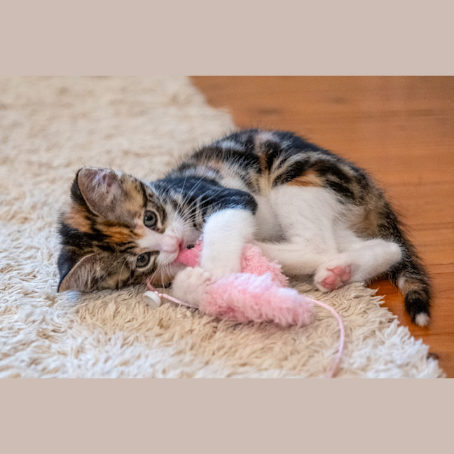 Photo of Zoe