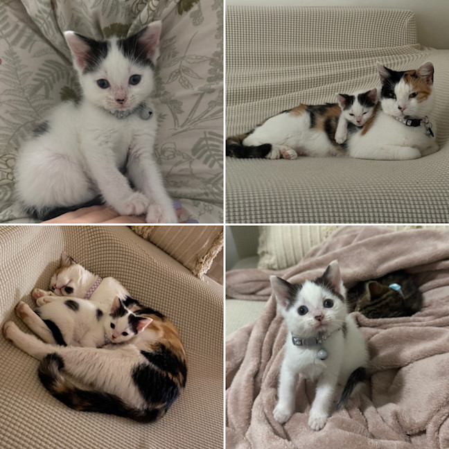 Photo of Margo (With Josie)