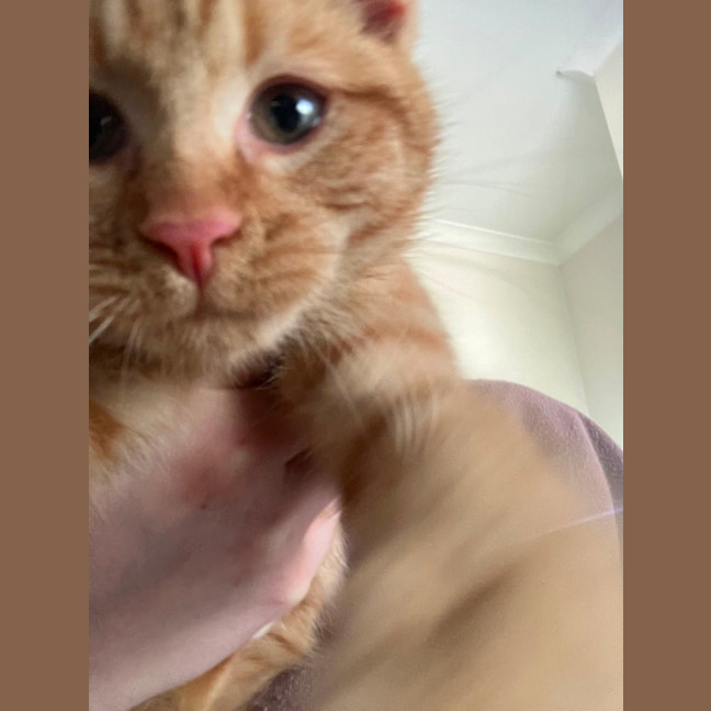 Photo of Arlo