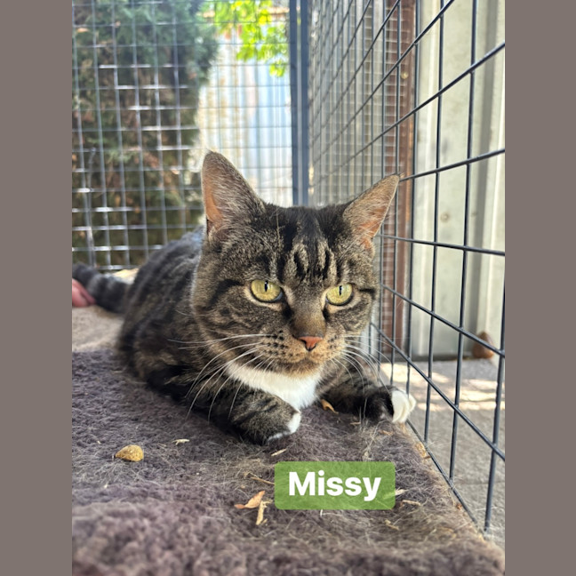 Photo of Boots (And Missy)