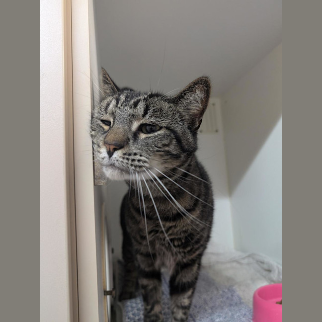 Photo of Bruce