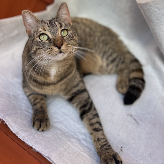 Photo of Tess