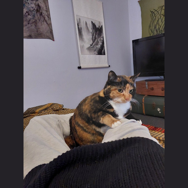 Photo of Harmony