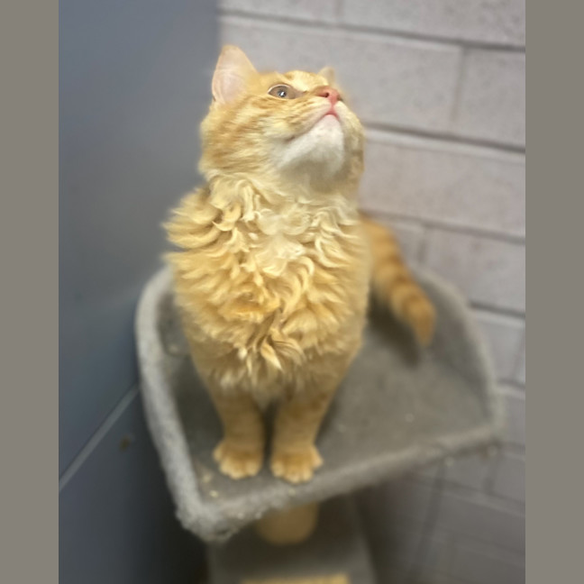 Photo of Charlie Brown