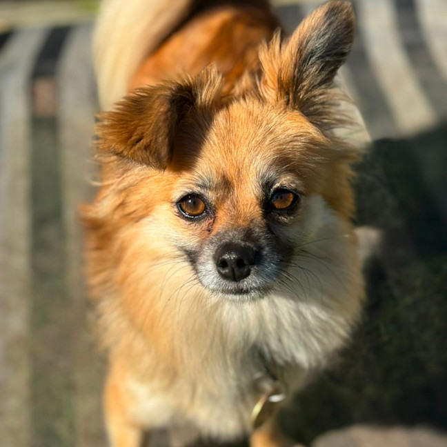 Photo of Nina