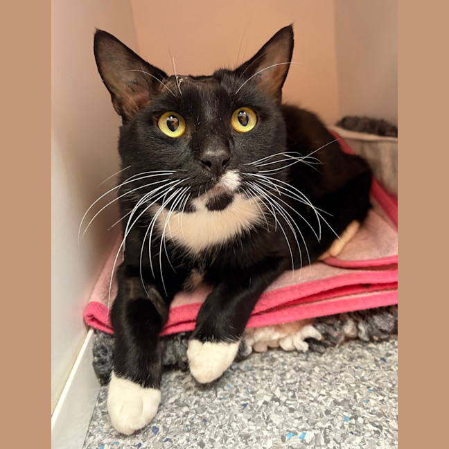 Photo of Mac K Petherbridge