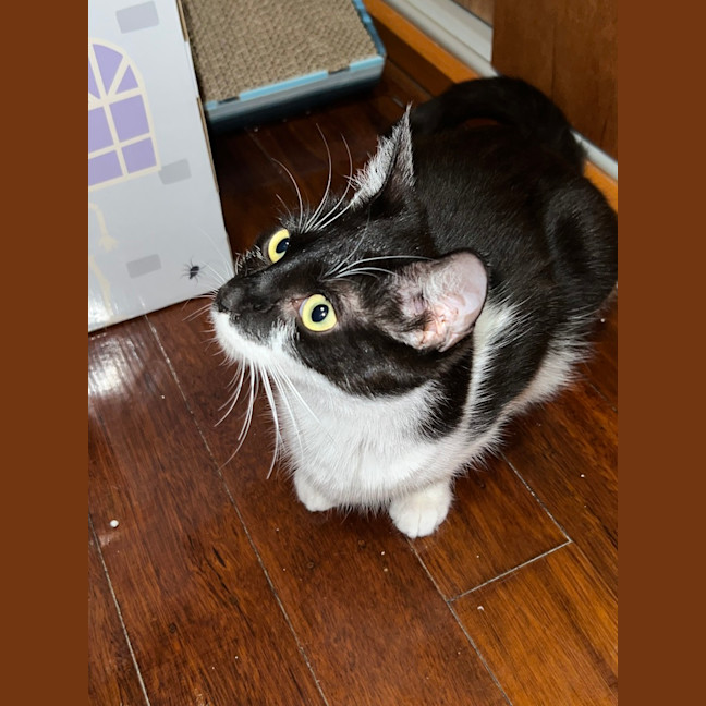 Photo of Mo