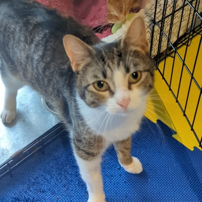 Photo of Margarita Sta012793