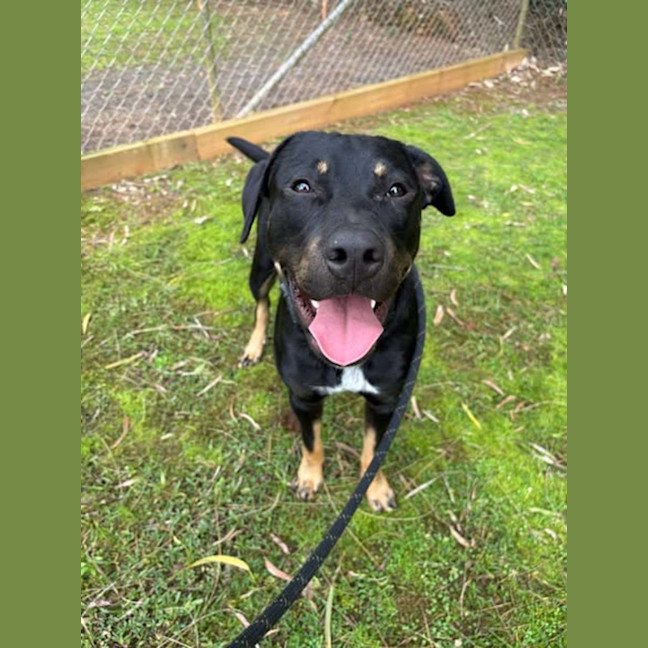 Photo of Maverick