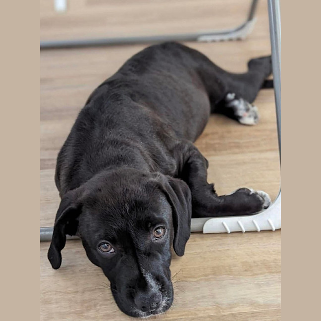 Photo of Murphy