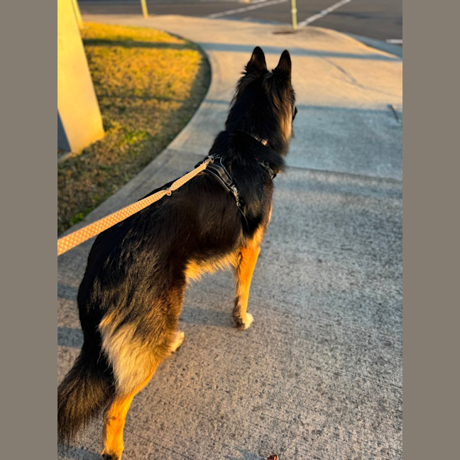 Photo of Kai