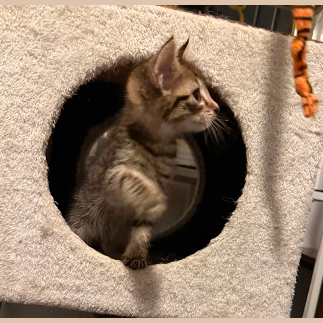 Photo of Rosie