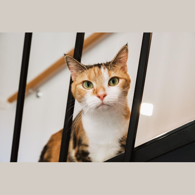 Photo of Genevieve Illingworth