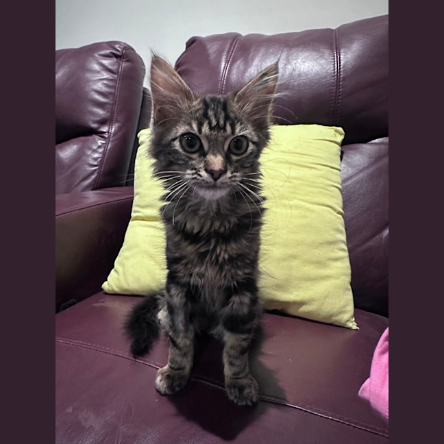 Photo of Zada