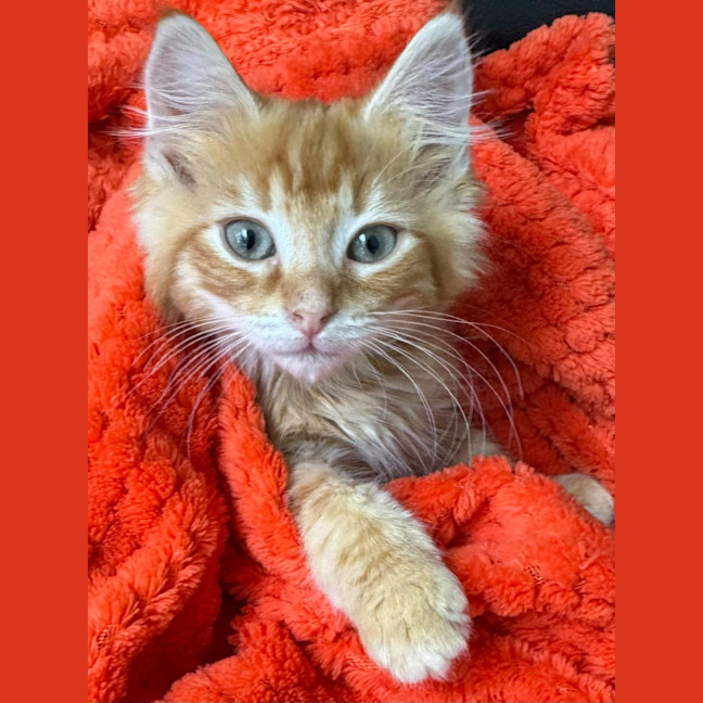 Photo of Eddie & Cherry 