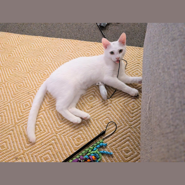 Photo of Cloud