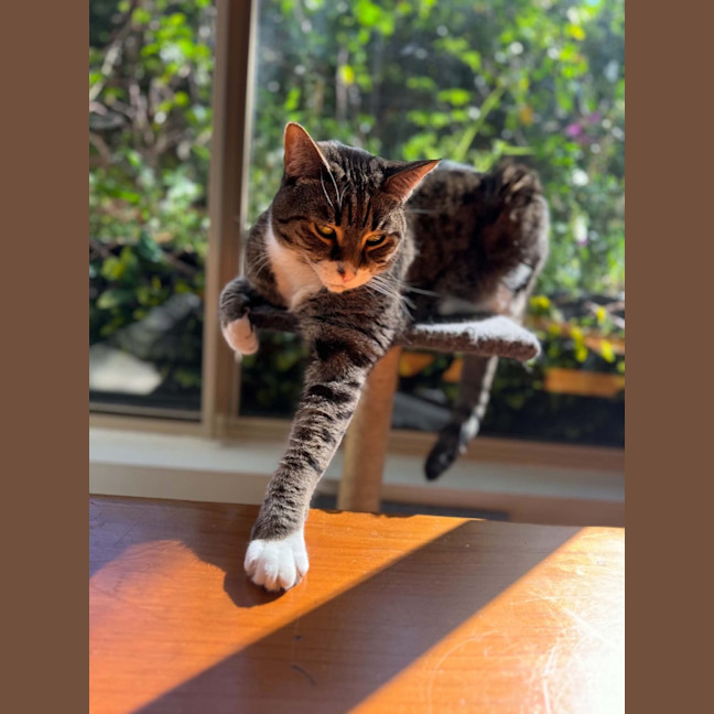 Photo of Benny