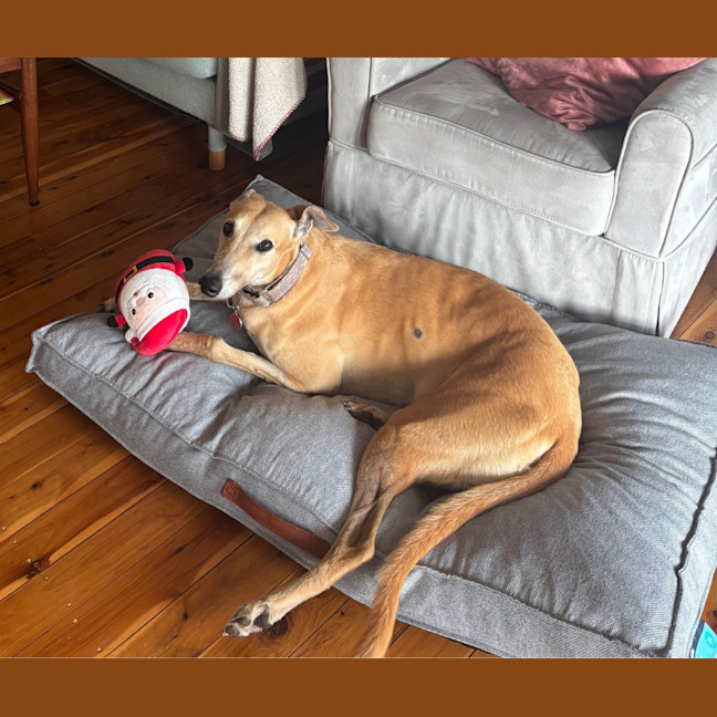 Photo of Sandy