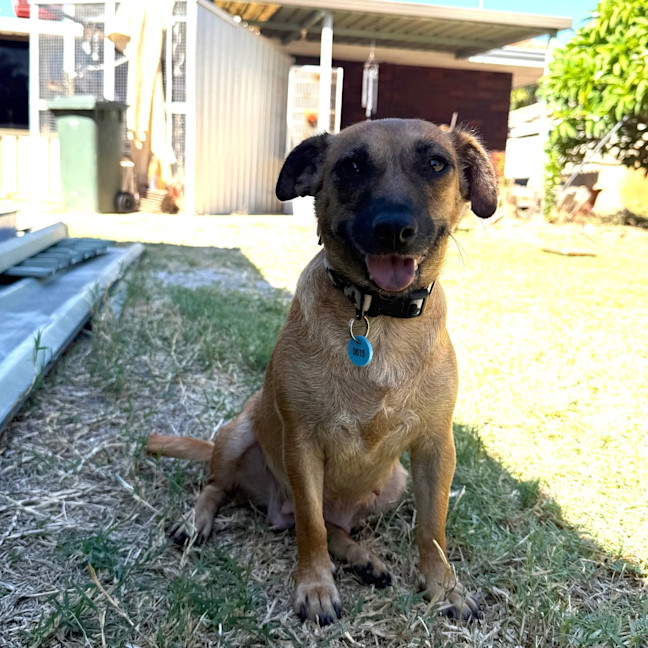 Photo of Maisey