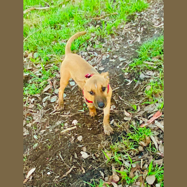 Photo of Hazel