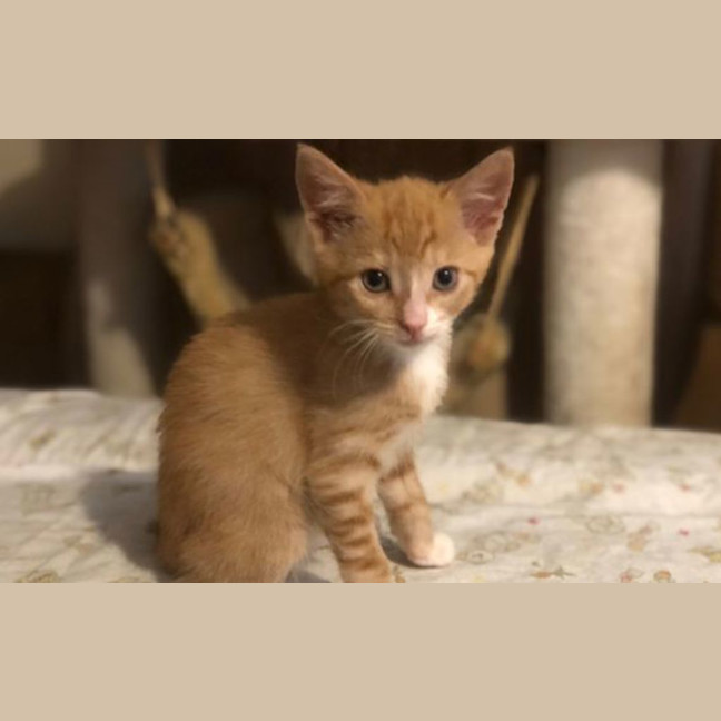Photo of Marvin