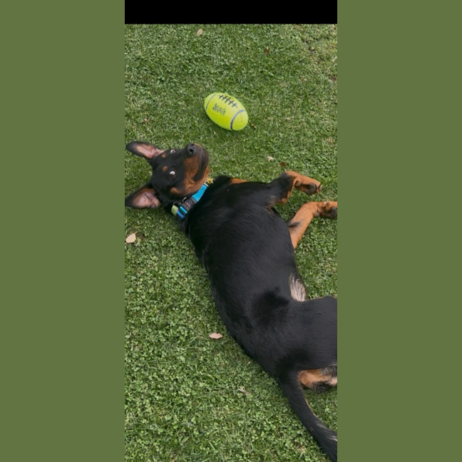 Photo of Chase