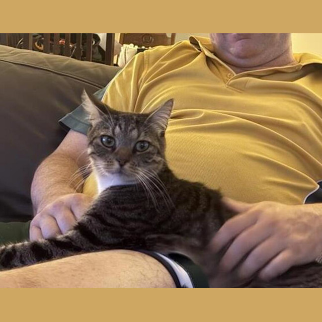 Photo of Bandit