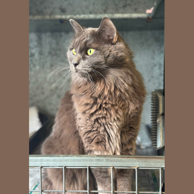 Photo of Tucker