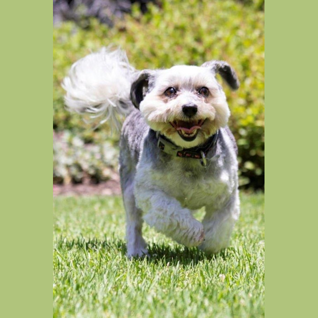 Photo of Lulu Lozano