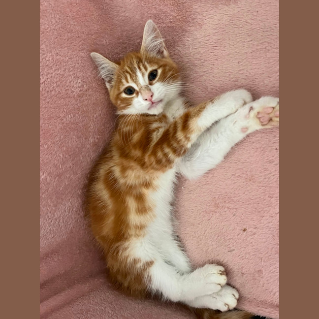 Photo of Jasper