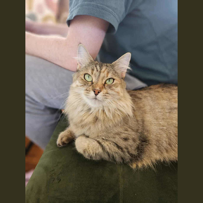 Photo of Babs