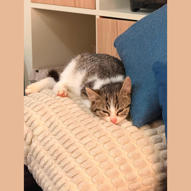 Photo of Mabel 