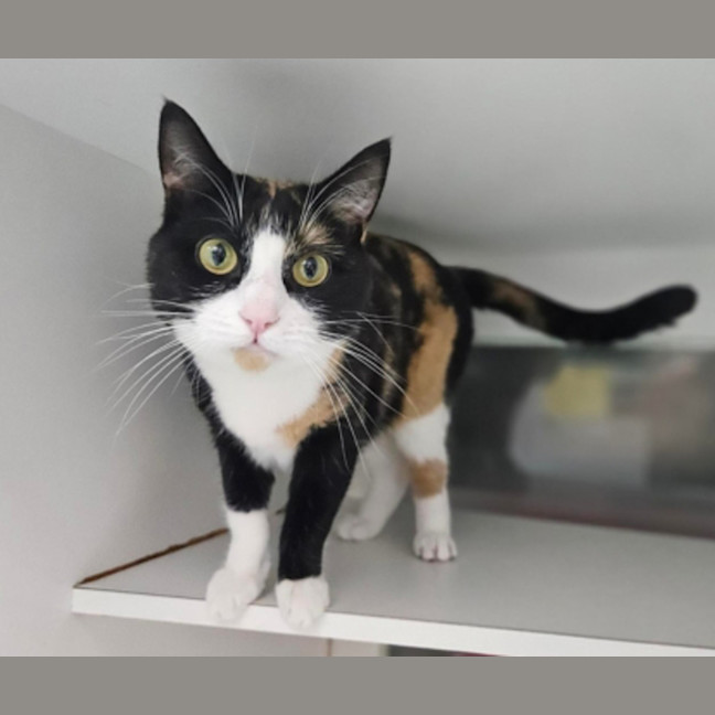 Photo of Tuesday