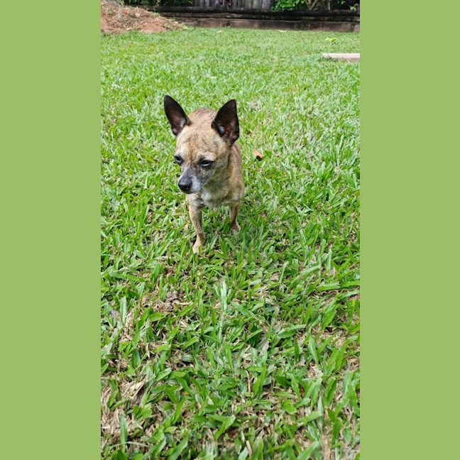 Photo of Milly 